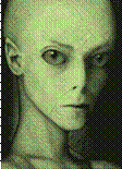 CCmini.jpg