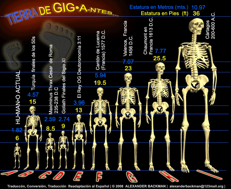 Los Gigantes de Antes: &iexcl;Haz CLick en la imagen y forma tu colecci&oacute;n!