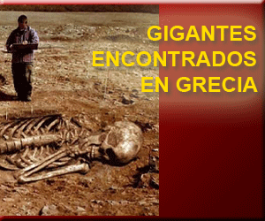 Ir a art&iacute;culo...