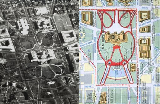 BUHO CAPITOLIO