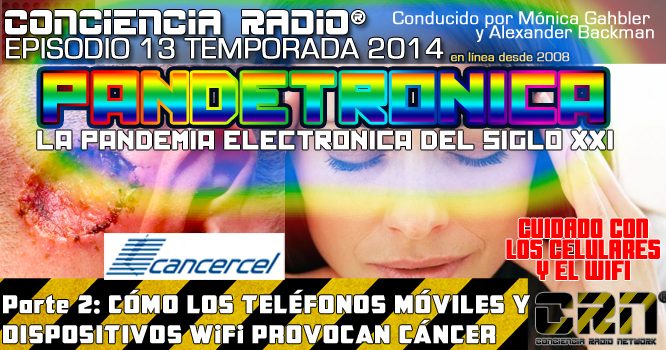 SOLDADOS DE STAN EPISODIO 49
