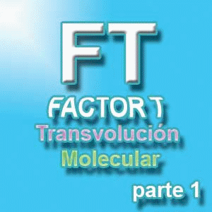 Factores de Transferencia